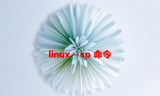 linux - cp 命令